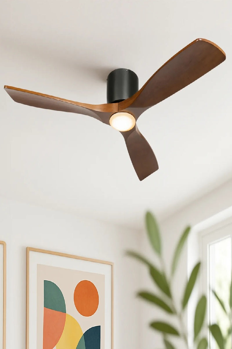 Ventilatori