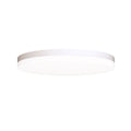 Mantra TURIN CCT II DIMABILNA stropna svjetiljka LED 32W 49CM CCT BIJELA