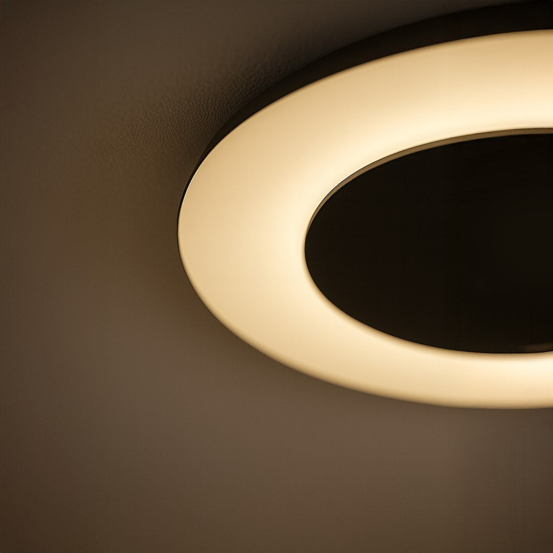 Piattino stropna svjetiljka crna 30W LED 3000K-4000k-6000K