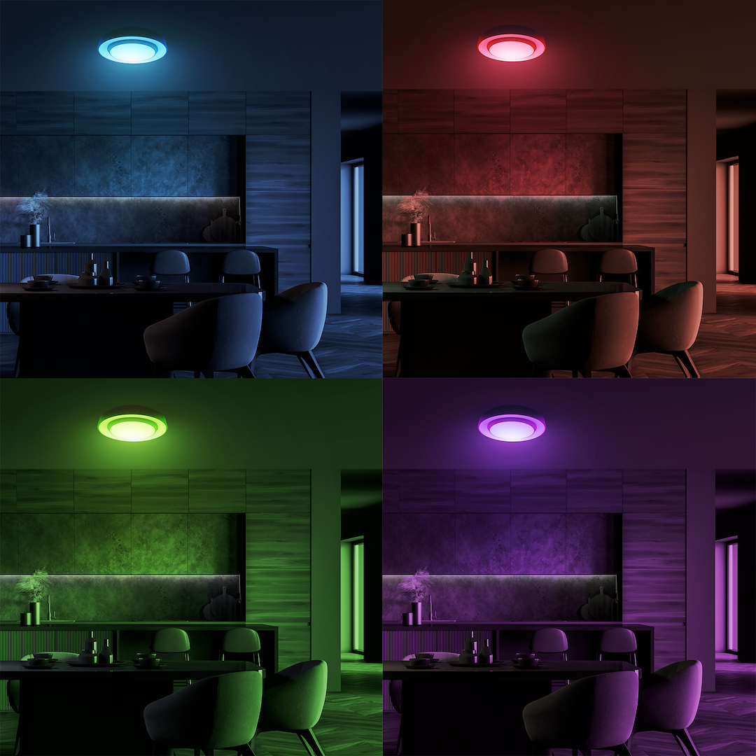 NAOMI SMART stropna svjetiljka Ø380 mm 24W LED RGB