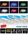 PROFESIONALNA LED TRAKA, SMD 5050, 60LED/m, 12V, 14,4W/m, RGB-W 6000K, IP65, 5m